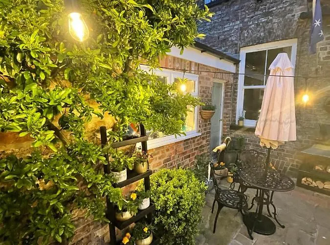 The Bishop And The Bison 4*