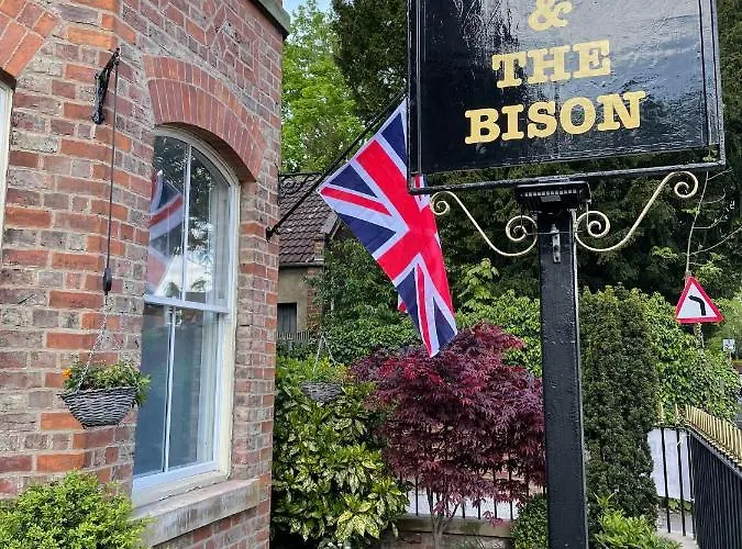 The Bishop And The Bison 4*