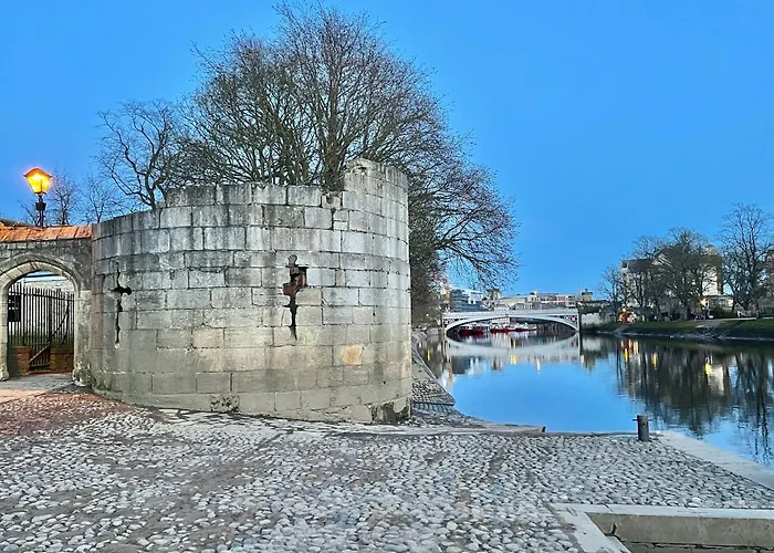 The Bishop And The Bison York