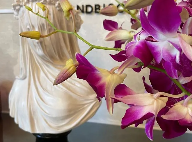 The Bishop And The Bison Bed & Breakfast