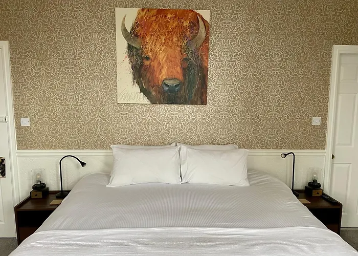 Bed & Breakfast The Bishop And The Bison 4*