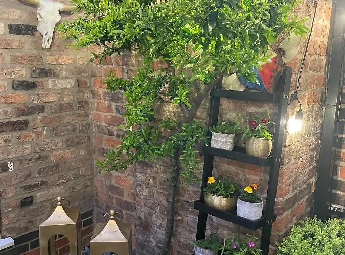 The Bishop And The Bison Bed & Breakfast 4*