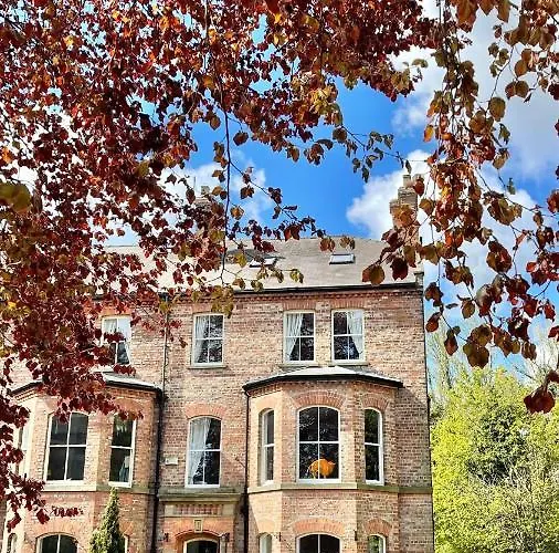 The Bishop And The Bison York