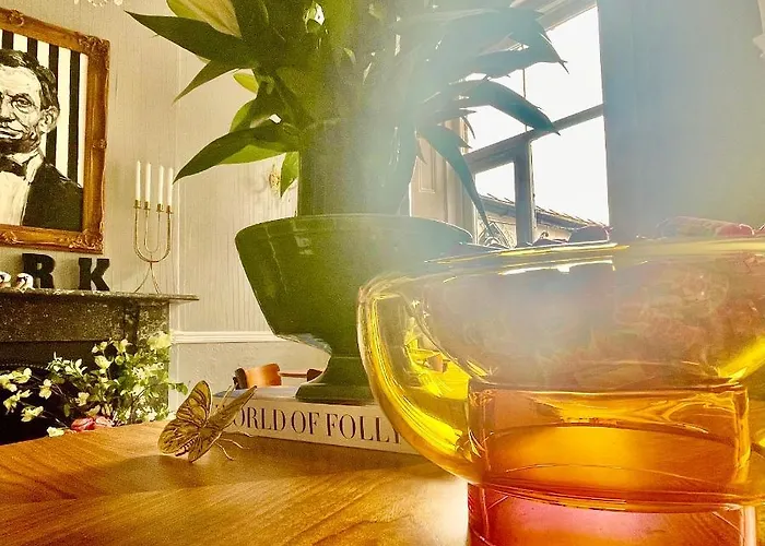 The Bishop And The Bison Bed & Breakfast York