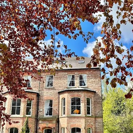 The Bishop And The Bison York