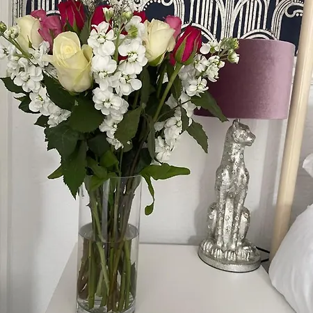 Bed & Breakfast The Bishop And The Bison 4*