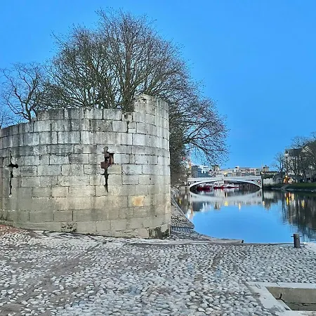 The Bishop And The Bison York