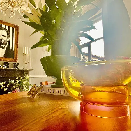 The Bishop And The Bison Bed & Breakfast York