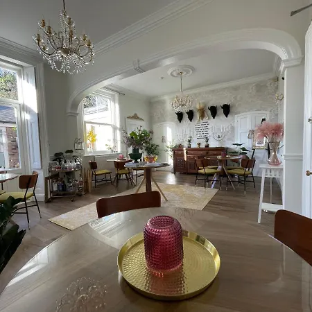 The Bishop And The Bison York