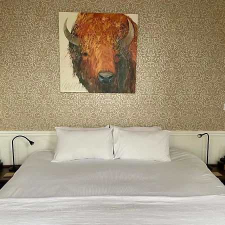 Bed & Breakfast The Bishop And The Bison 4*