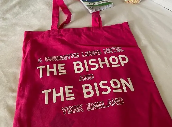 The Bishop And The Bison York