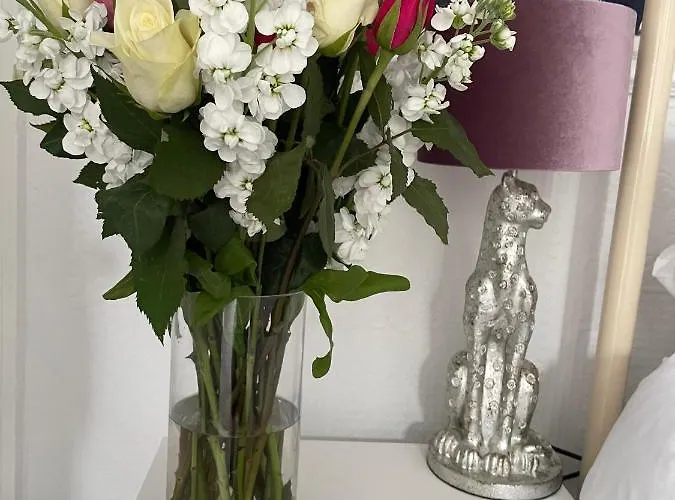 Bed & Breakfast The Bishop And The Bison 4*