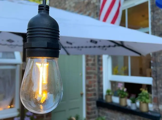 The Bishop And The Bison 4*