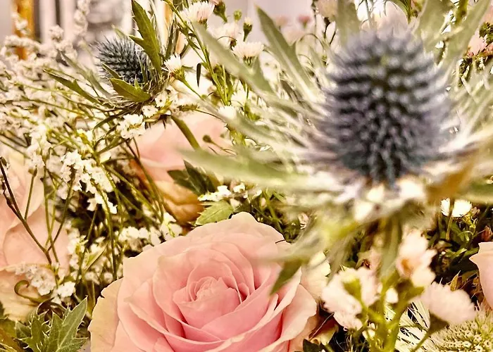 The Bishop And The Bison York